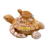 Caja de resina con acabado arena y figura de una tortuga