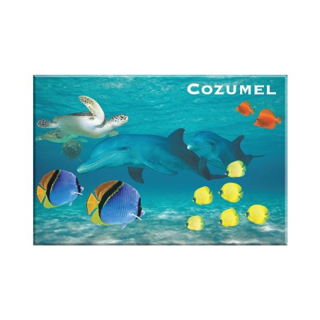 Fotoíman del mundo submarino de Cozumel, souvenir y recuerdo de Mexico