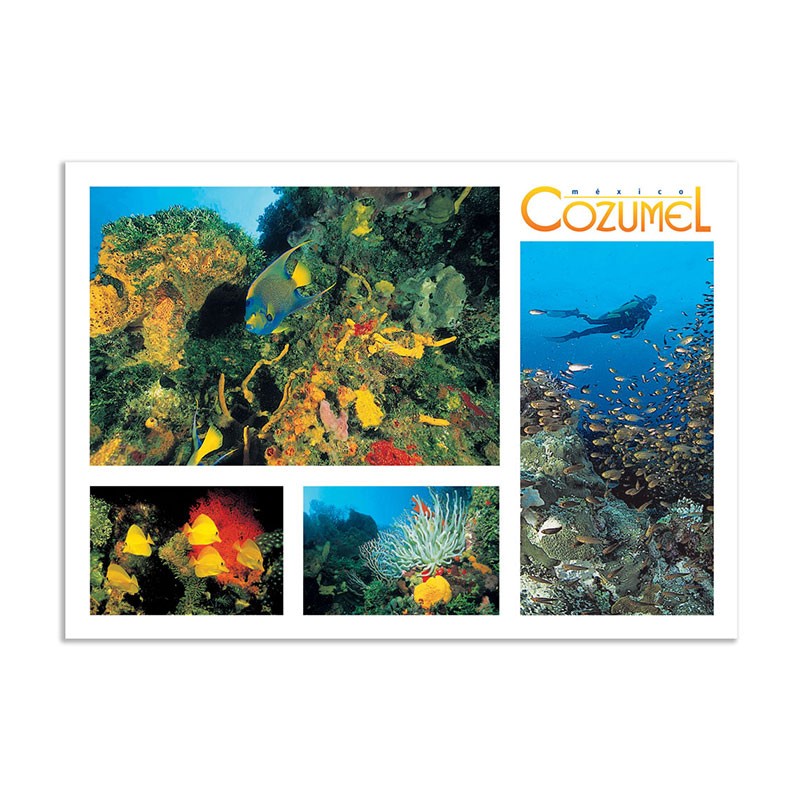 Tarjeta postal con varias vistas del arrecifes de Cozumel, souvenir y recuerdo de Cozumel, Mexico