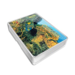 Baraja del mundo submarino de cozumel, souvenir y recuerdo de Cozumel, Mexico