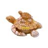 Caja de resina con acabado arena y figura de unas tortugas