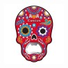 Magneto destapador pvc calavera, Souvenir, recuerdo de Isla Mujeres, Mexico