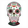 Magneto pvc calavera, tradición del día de Muertos en Mexico, souvenir y recuerdo de Isla Mujeres.