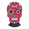 Magneto pvc calavera, tradición del día de Muertos en Mexico, souvenir y recuerdo de Isla Mujeres.