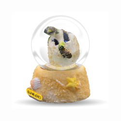 Esfera de resina con concha y tortuga, souvenir y recuerdo de Isla Mujeres, Mexico.