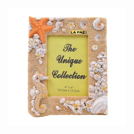 Portaretrato con caballito de mar México La Paz souvenir