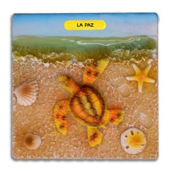 Souvenir México La Paz: Magnetos de Resina con Ilustraciones de Playas