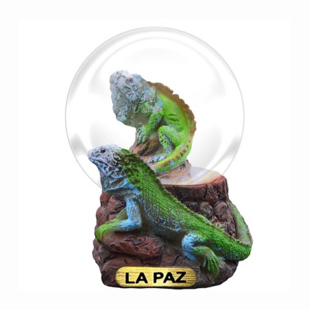 Esfera de nieve con caballito de mar en Los Cabos México