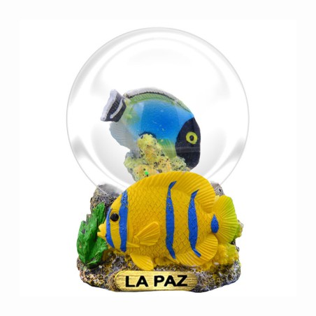 Esfera de nieve con pez fauna México Los Cabos souvenir