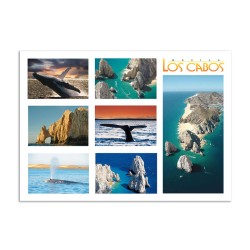 Tarjeta postal con 7 vistas de Los Cabos, souvenir y recuerdo de Los Cabos, México