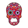Magneto destapador pvc en forma de calavera, souvenir o regalo de Merida, Yucatan, Mexico