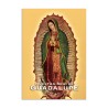 Tarjeta postal de la Virgen de Guadalupe, souvenir y recuerdo de la Ciudad de México, CDMX.