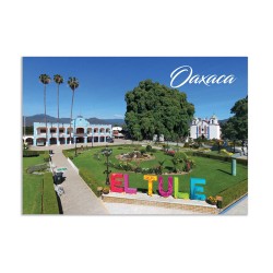 Tarjeta postal del Tule y su arbol, souvenir y recuerdo de Oaxaca,Mexico.