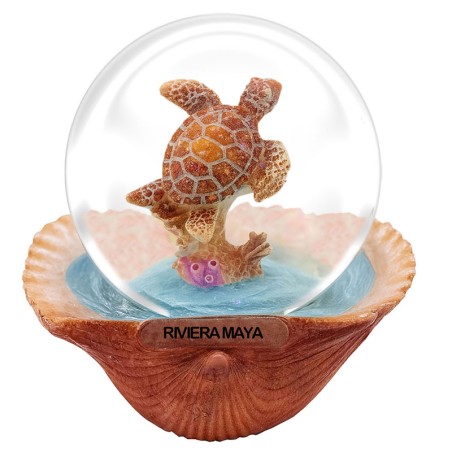 Esfera de nieve concha con tortuga