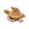 Caja de resina con acabado arena y figura de unas tortugas