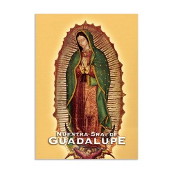 Tarjeta postal de la Virgen de Guadalupe, souvenir y recuerdo de la Ciudad de México, CDMX.