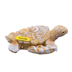 Magneto de resina en forma de tortuga con acabado arena