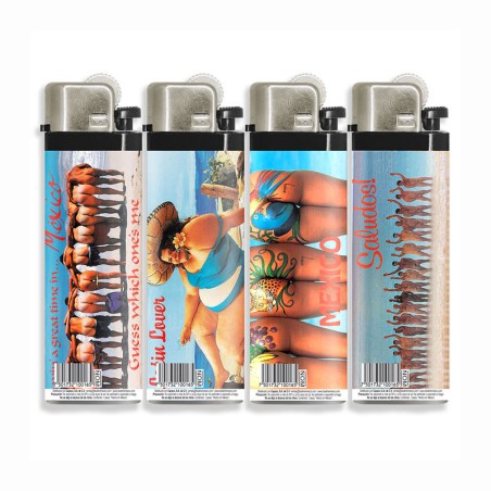 Encendedores imagenez divertidas de la Riviera Maya, souvenir y recuerdo de la Riviera Maya, México