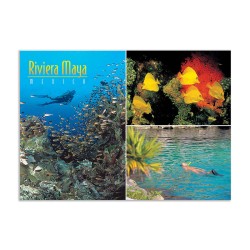Tarjeta postal del mundo sub-marino de la Riviera Maya, souvenir y recuerdo de la Riviera Maya, México