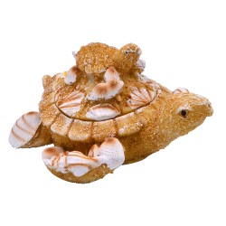 Caja de resina arena con figura tortuga, Souvenir de Veracruz, Mexico.