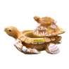Caja de resina arena con figura tortuga, Souvenir de Veracruz, Mexico.